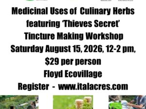 Medicinal Power of Culinary Herbs & Thieves Tincture Making Workshop