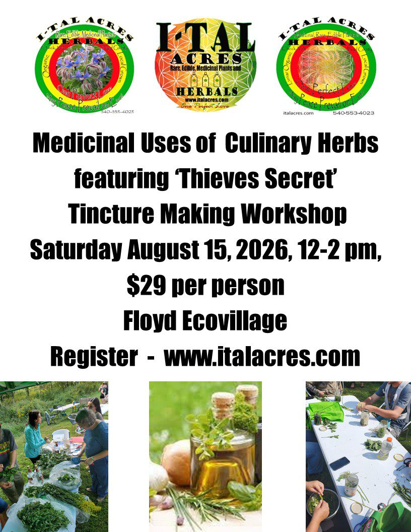 Medicinal Power of Culinary Herbs & Thieves Tincture Making Workshop 1 Medicinal Power of Culinary Herbs & Thieves Tincture Making Workshop