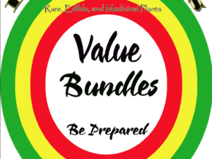 Bundles
