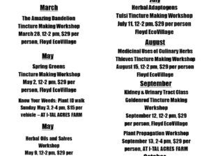 Classes/Workshops