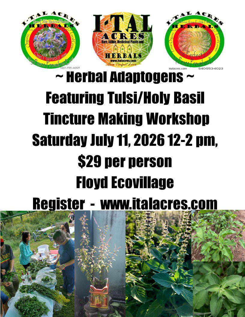 Herbal Adaptogens Workshop 1 Herbal Adaptogens Workshop
