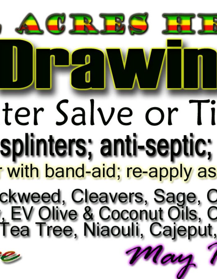 Black Drawing Salve 2oz